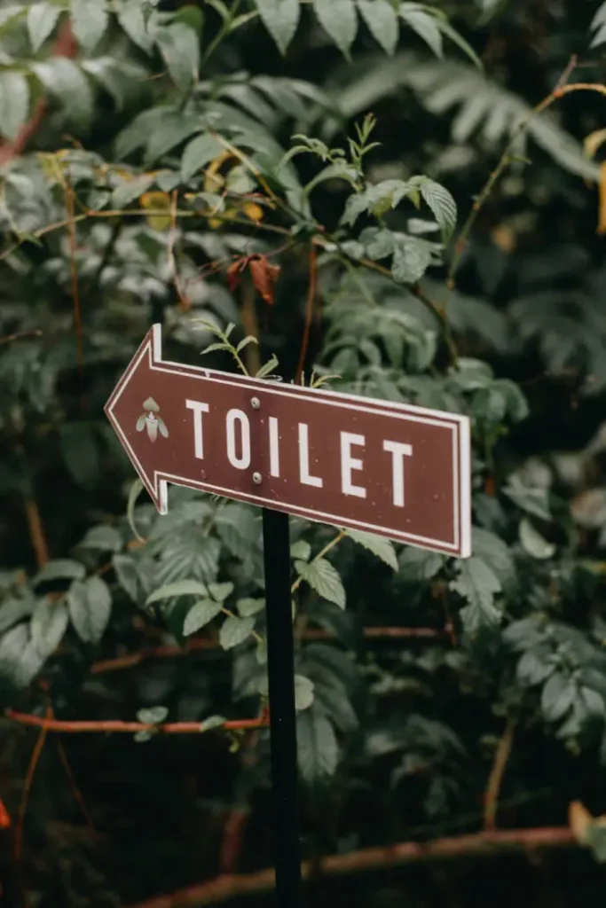 Fancy toilet sign with plants in the background